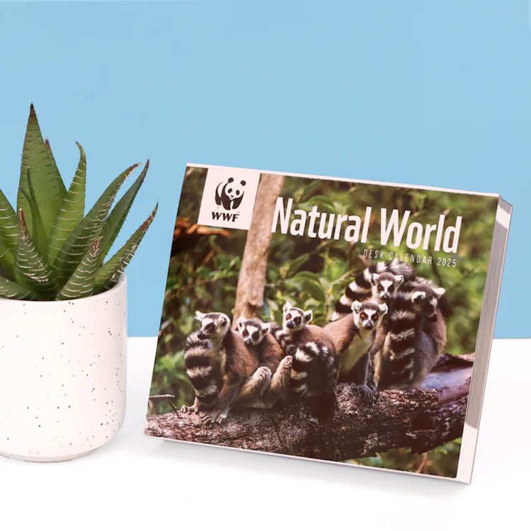 wwf natural world box calendar 2025