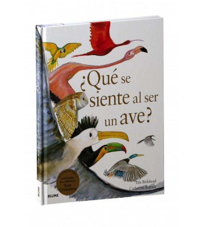 qu se siente al ser un ave?