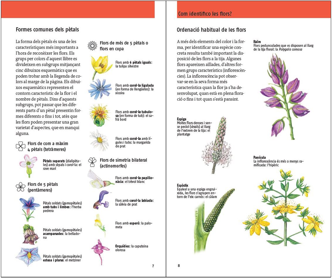 flors. 450 espcies d'europa