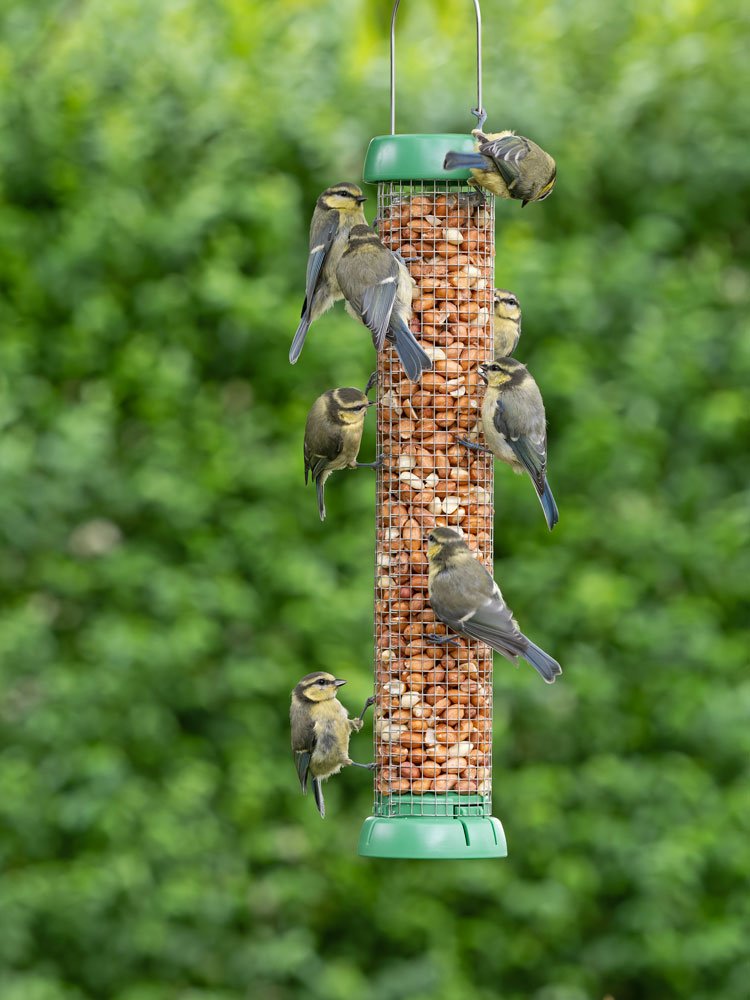 bl2-p2g "bird lovers" comedero tubular para aves silvestres mediano para cacahuetes fcil de limpiar