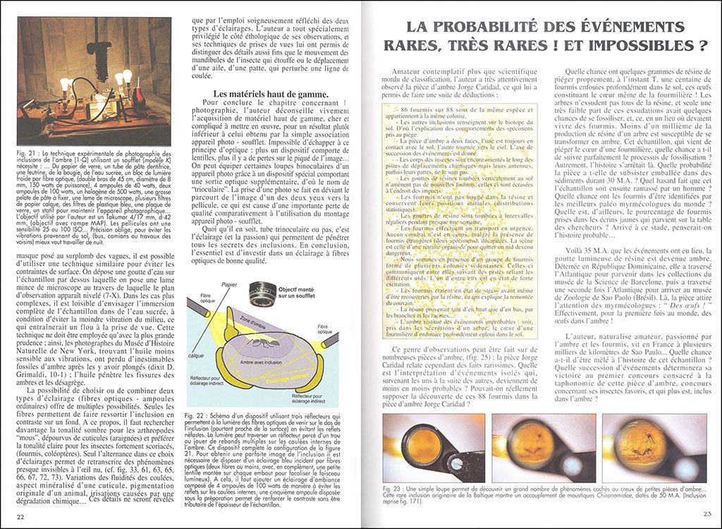 l'ambre. miel de fortune et mmoire de vie