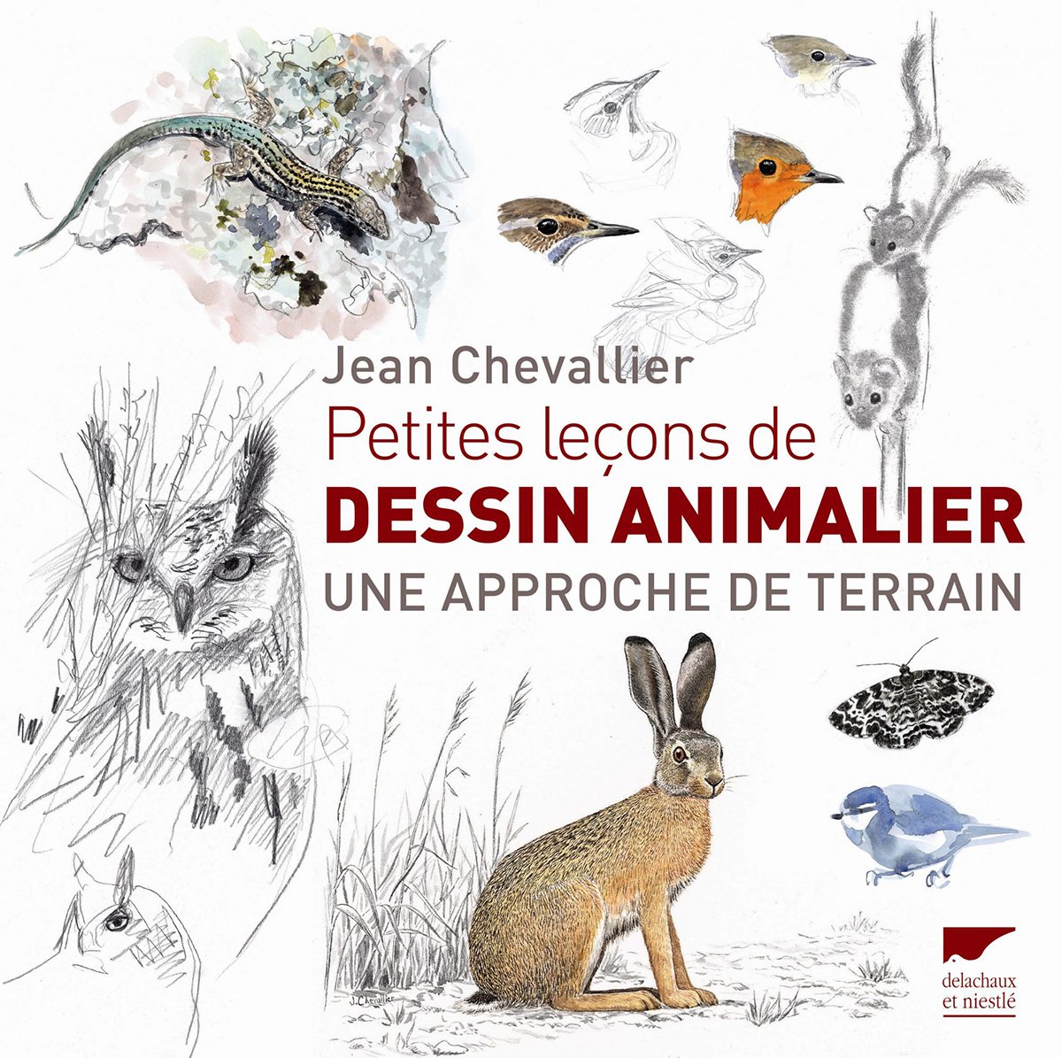 petites leons de dessin animalier. une approche de terrain