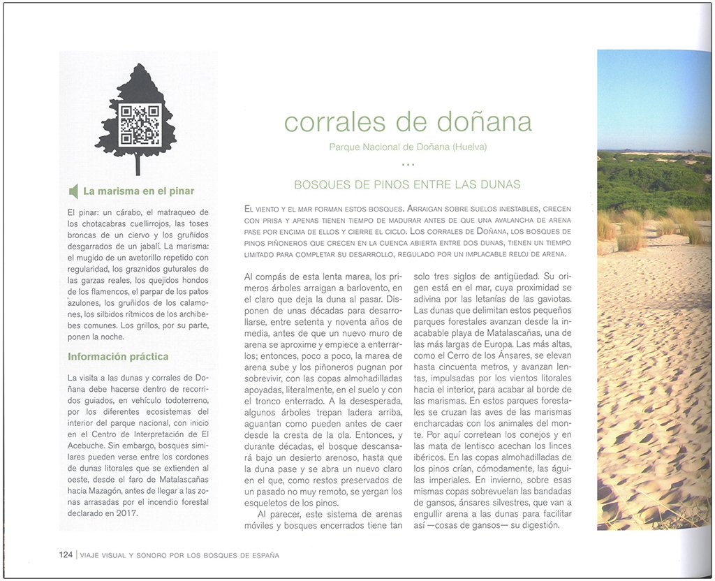 viaje visual y sonoro por los bosques de espaa