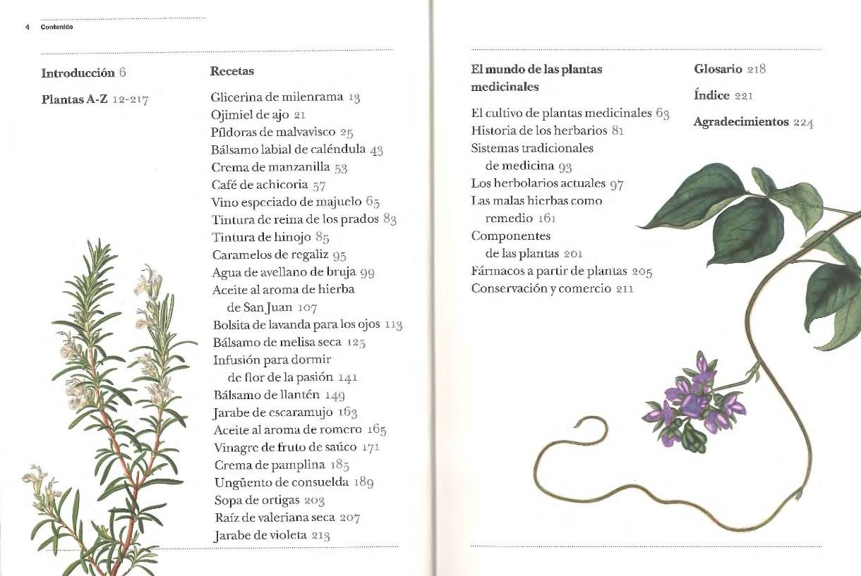 gua del jardn sobre plantas medicinales. remedios caseros y plantas curativas de la a a la z