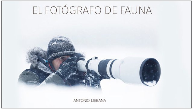 el fotgrafo de fauna
