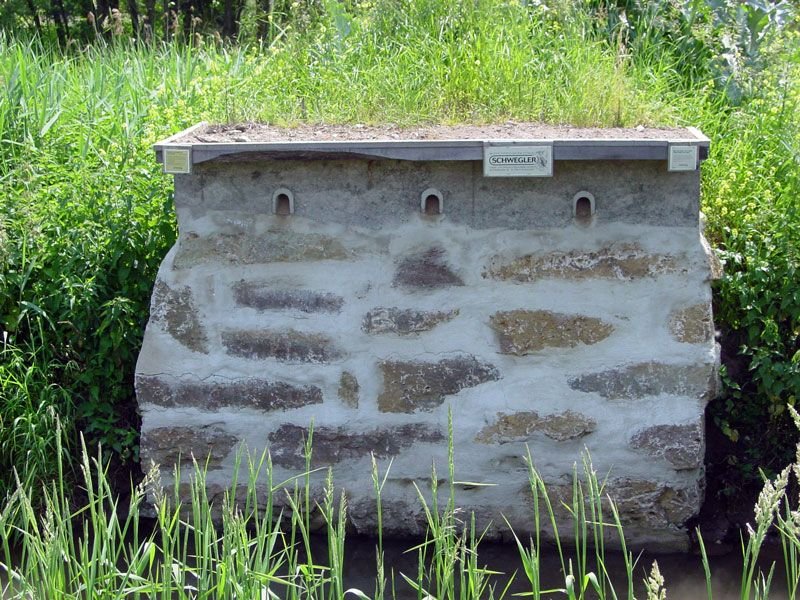 caja nido para martn pescador o avin zapador