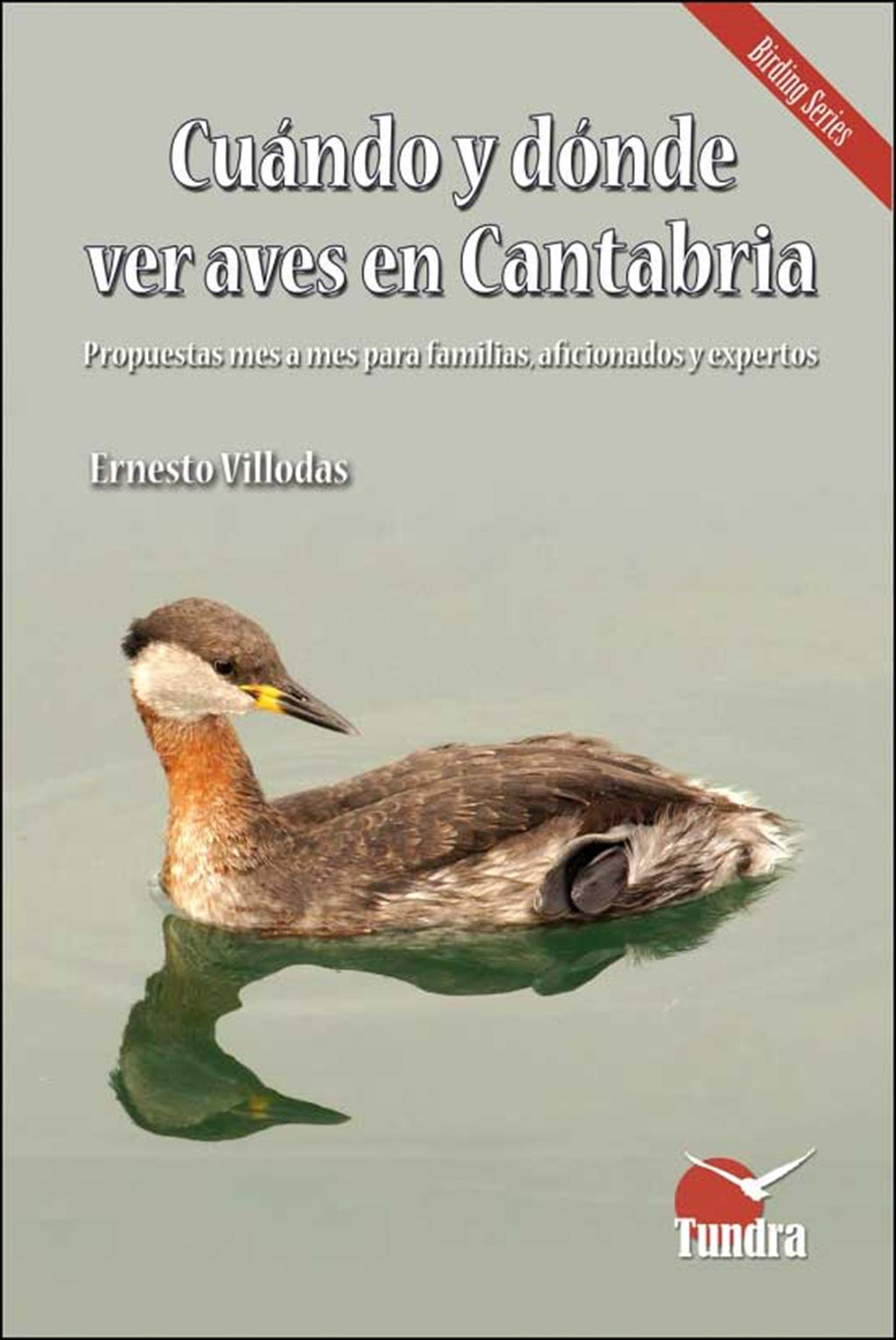 cundo y dnde ver aves en cantabria. propuestas mes a mes para familias, aficionados y expertos