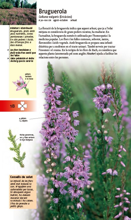 plantes medicinals. 350 espcies d'europa