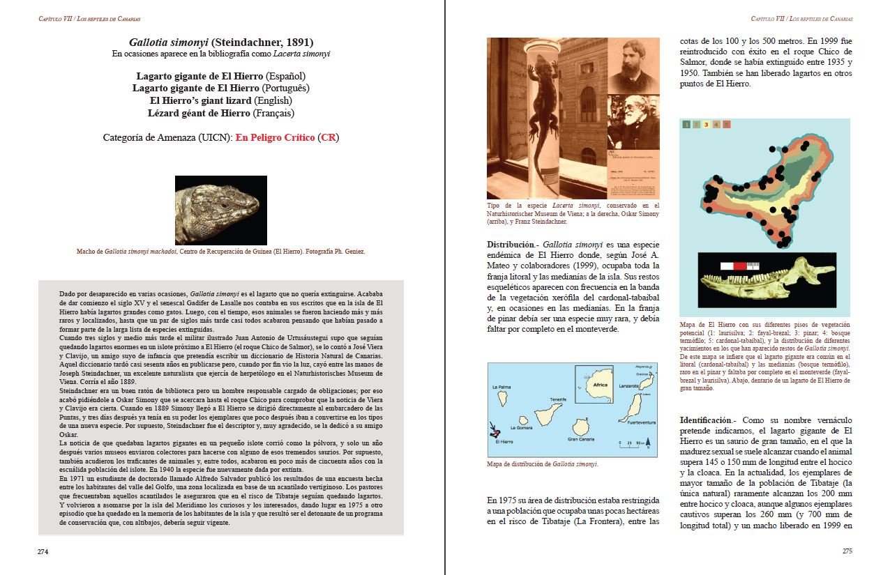 reptiles de macaronesia, azores, madeira, salvajes, canarias, cabo verde y litoral shara atlntico