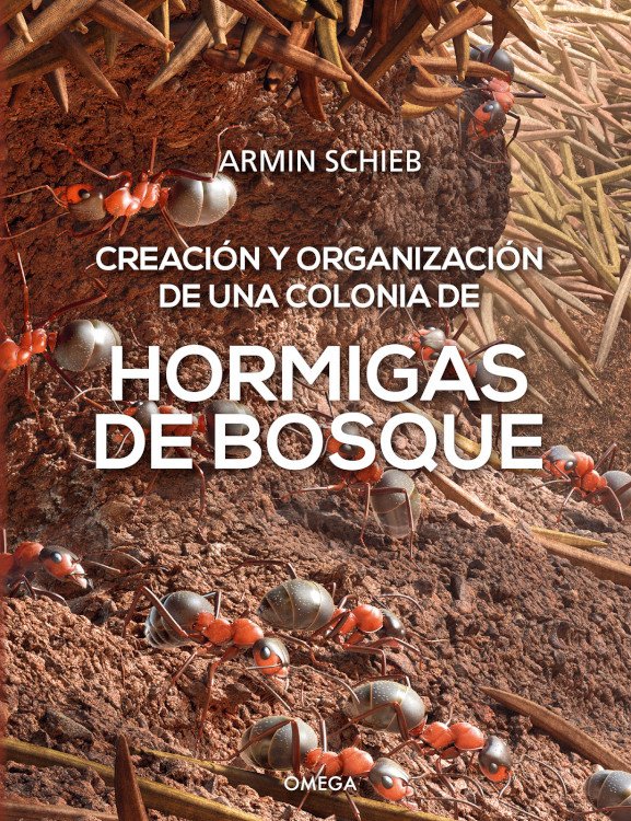 creacin y organizacin de una colonia de hormigas de bosque