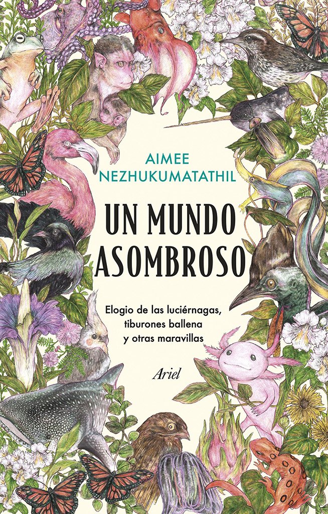 un mundo asombroso. elogio de las lucirnagas, tiburones ballena y otras maravillas