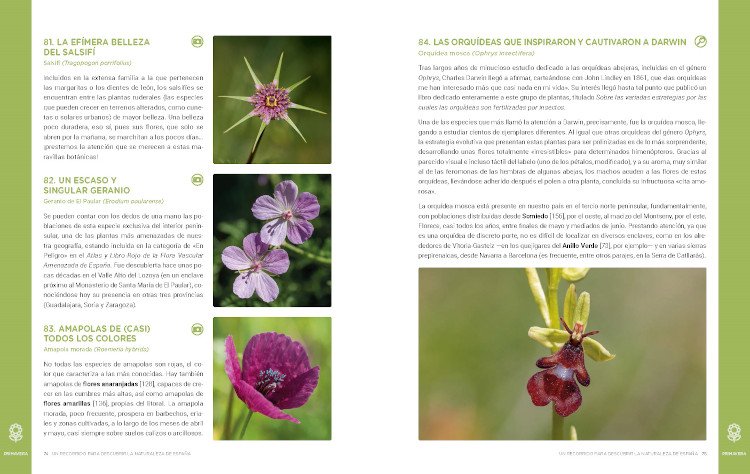 un recorrido para descubrir la naturaleza de espaa. 365 propuestas imprescindibles