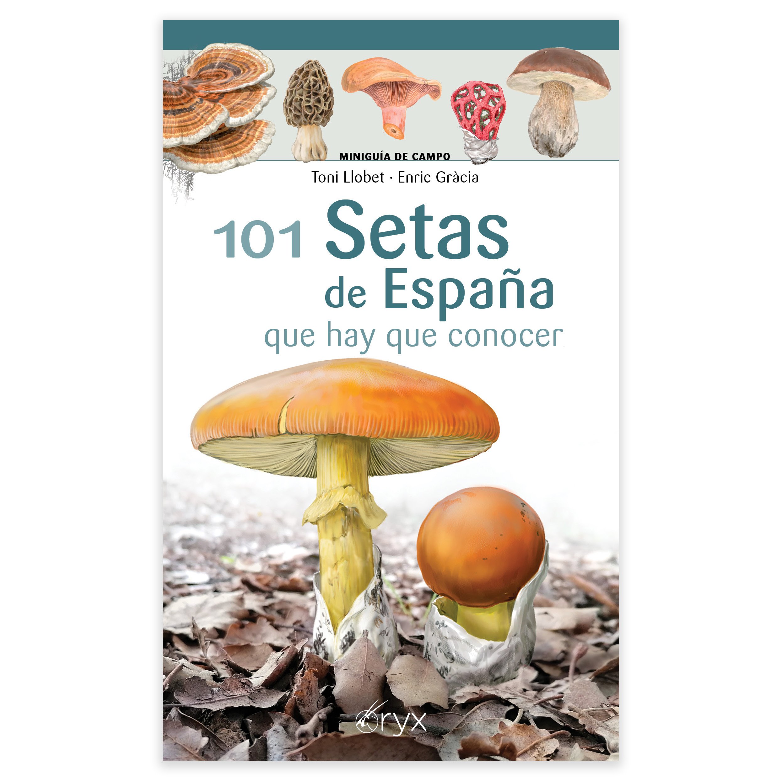 101 setas de espaa que hay que conocer. minigua de campo