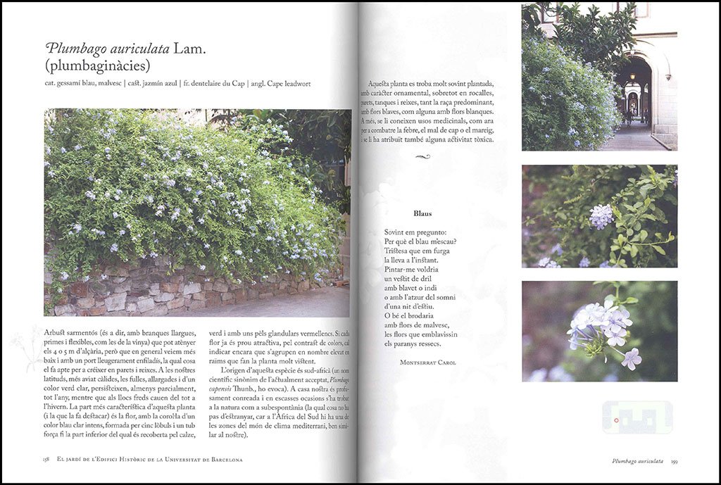 el jard de l'edifici histric de la universitat de barcelona. 101 plantes per a una passejada botnica i literria
