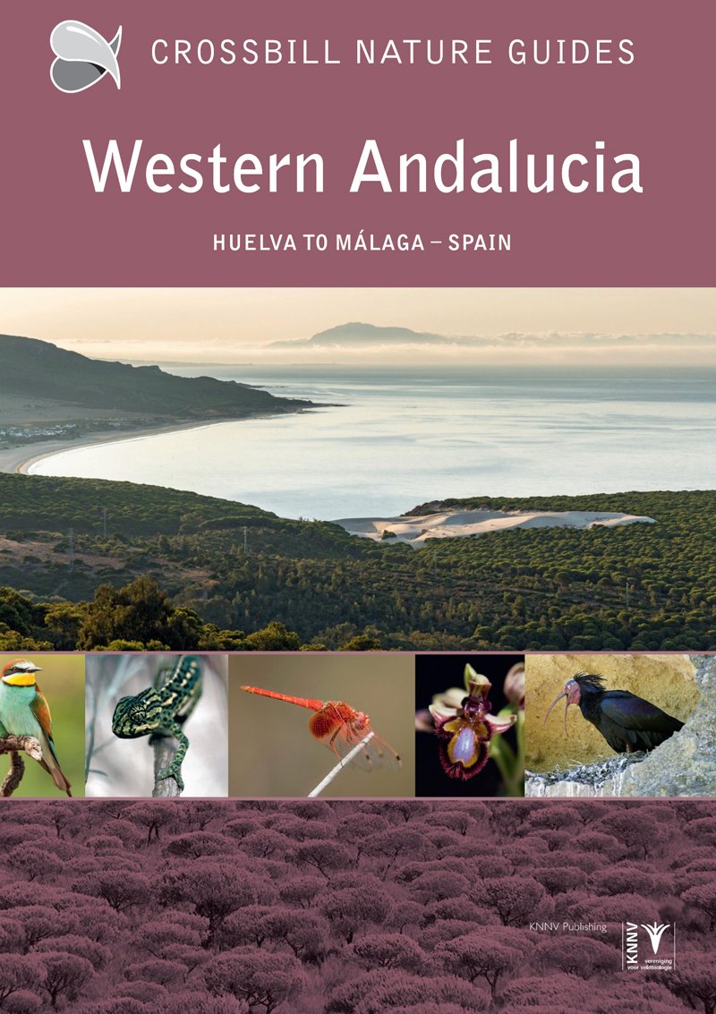 crossbill guide: western andaluca: huelva to mlaga, spain
