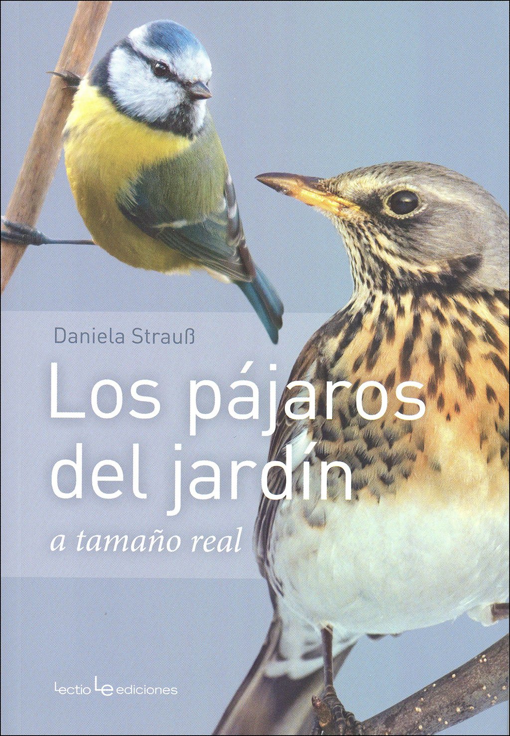 los pjaros del jardn a tamao real