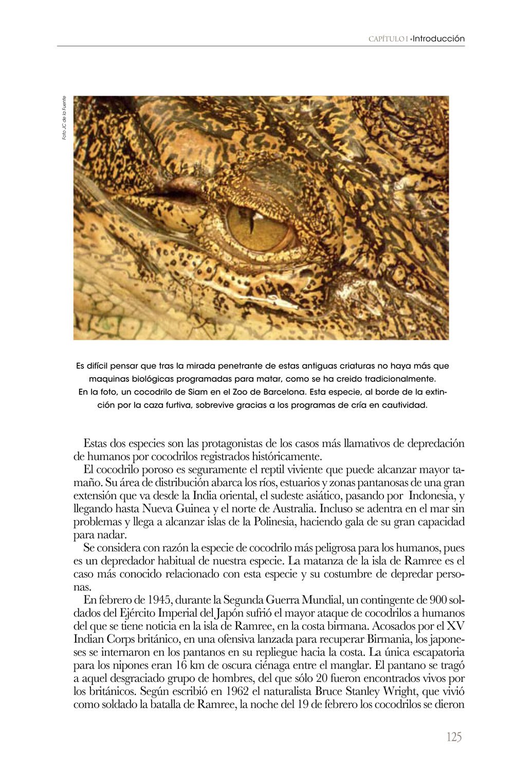 coexistencia. un viaje por las relaciones entre carnvoros y humanos