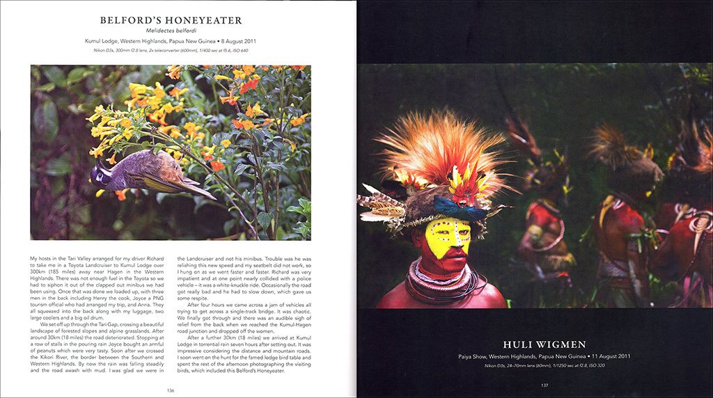 a bird photographer's diary