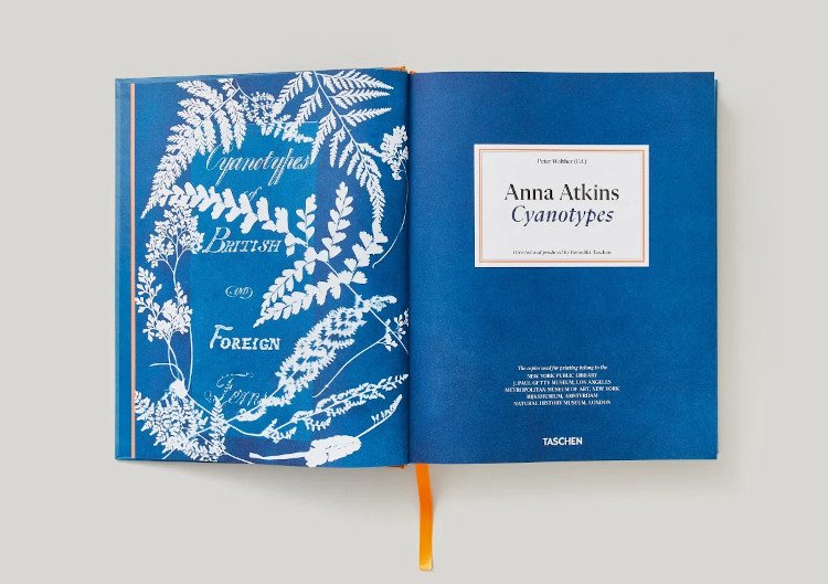 anna atkins. cyanotypes