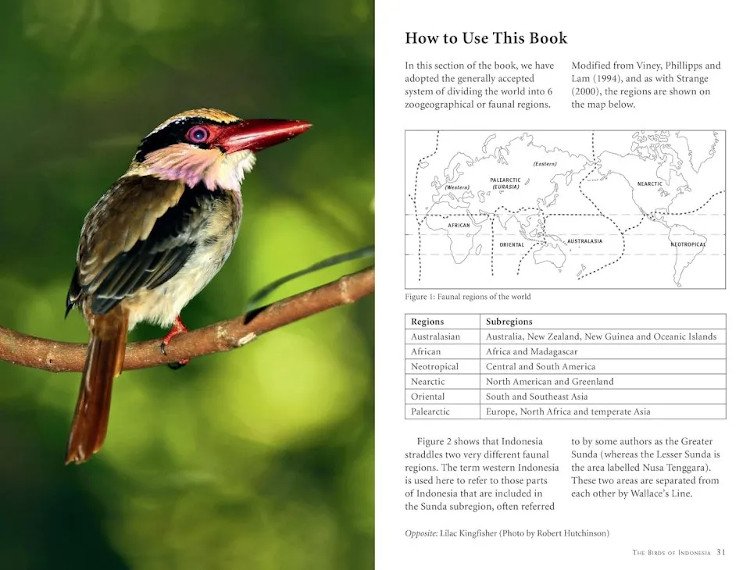 a photographic guide to the birds of indonesia