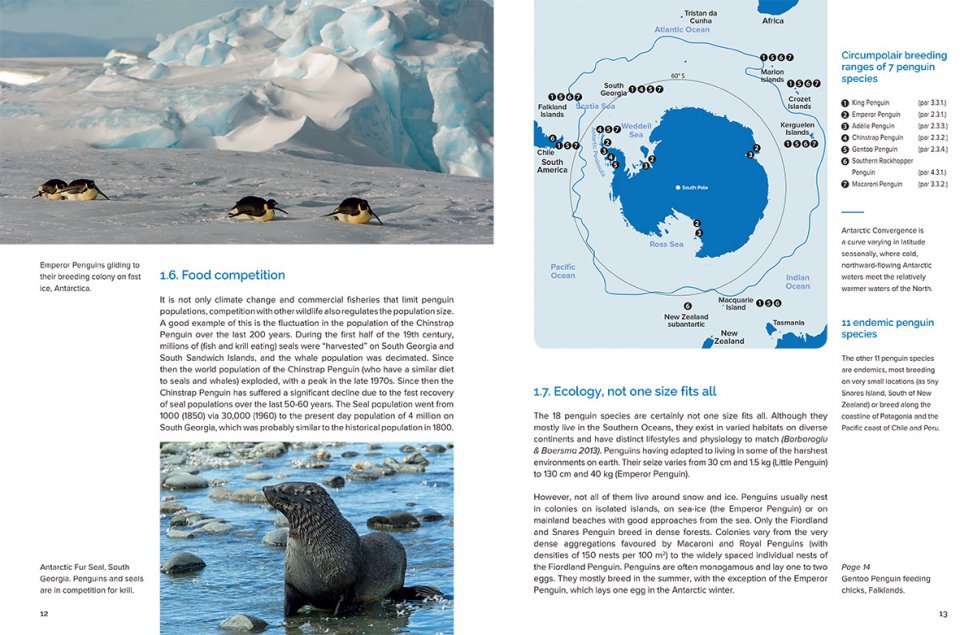 around the world for penguins. where to see all the 18 penguin species