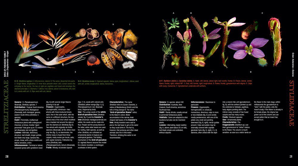 atlas of flowering plants