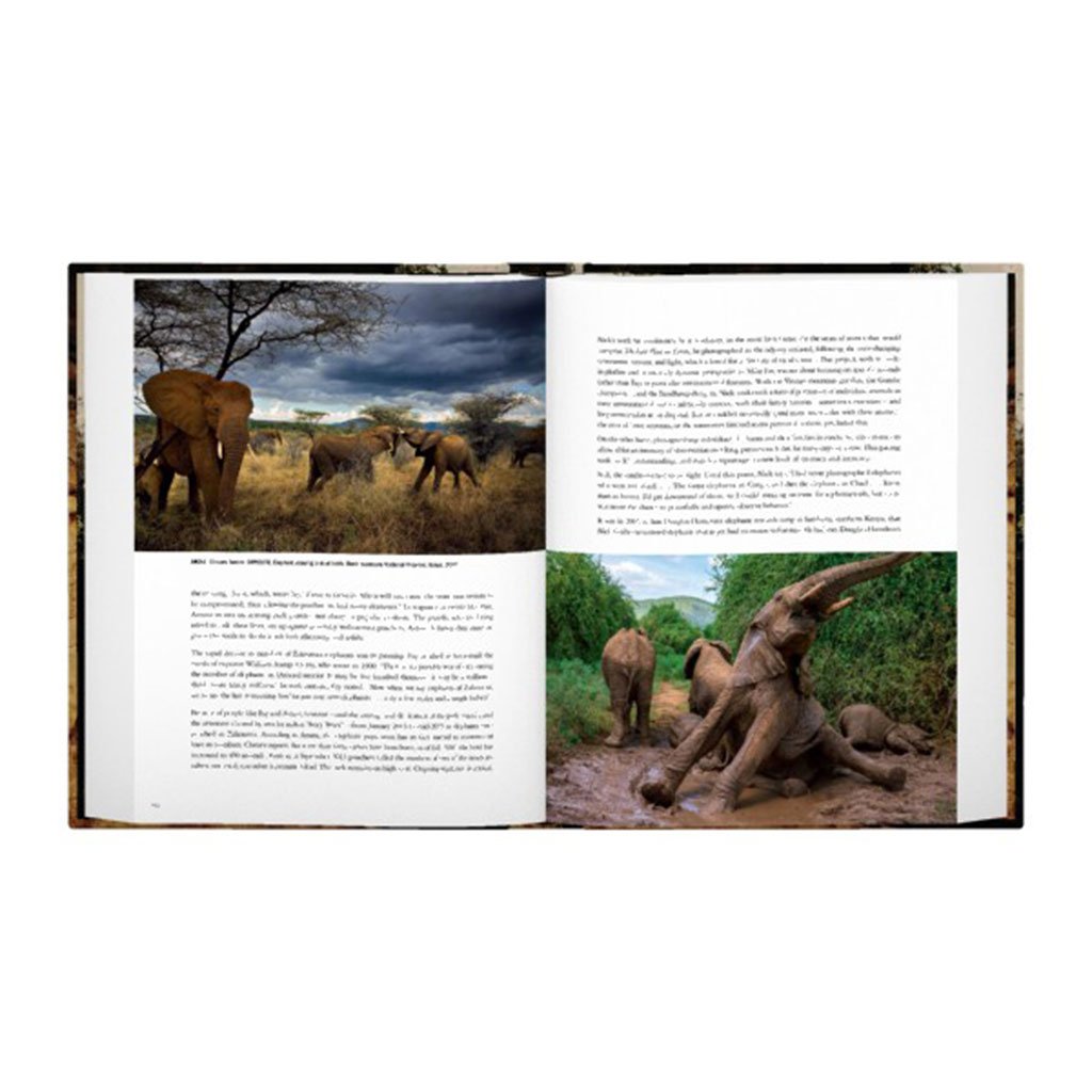 a wild life. a visual biography of photographer michael nichols
