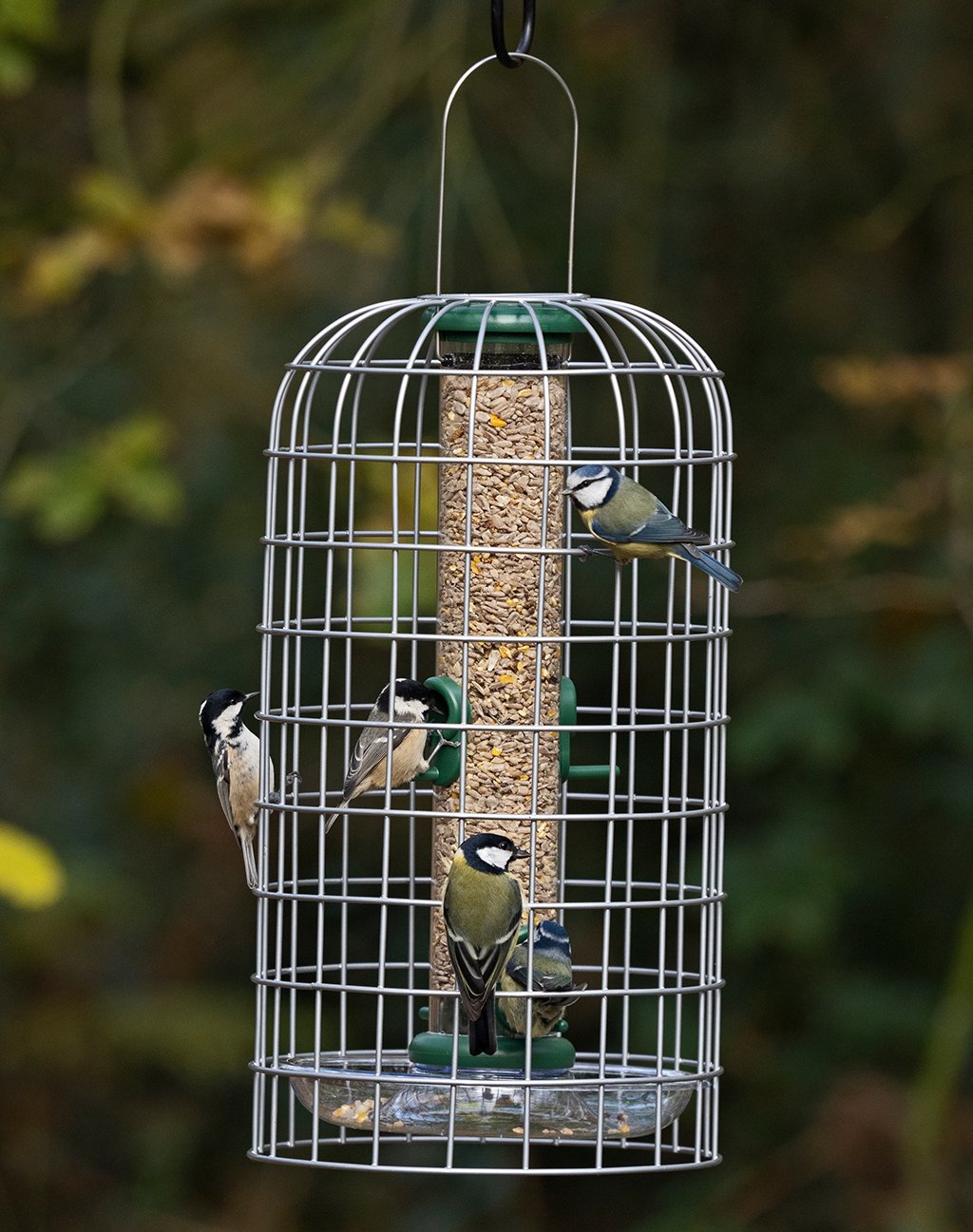 bfg-4 bird feeder guardians mediano