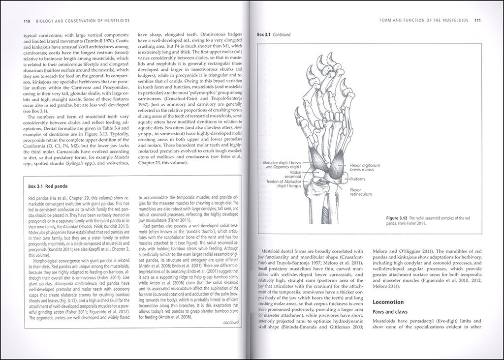 biology and conservation of musteloids