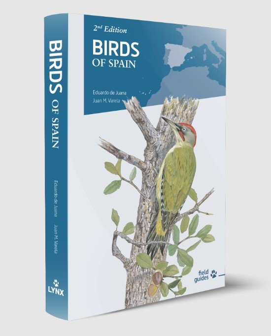 birds of spain