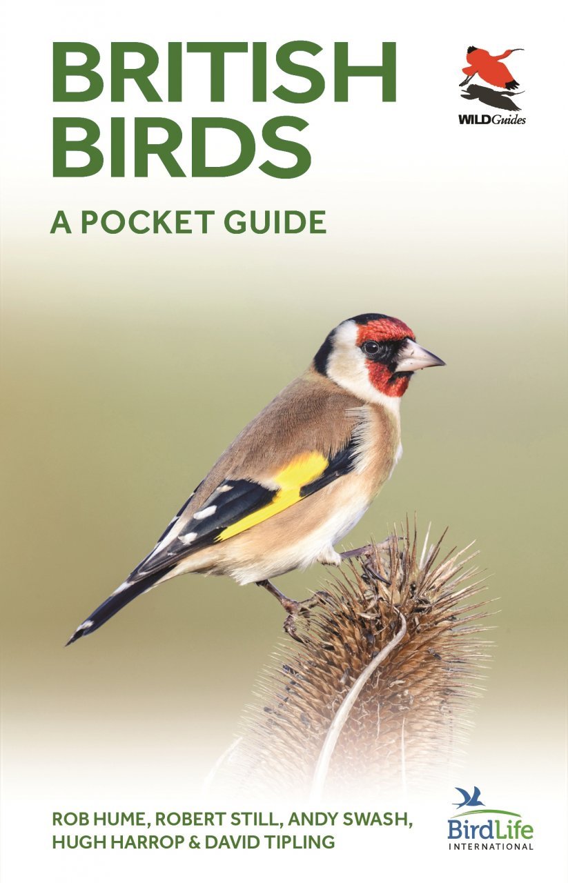 british birds. a pocket guide