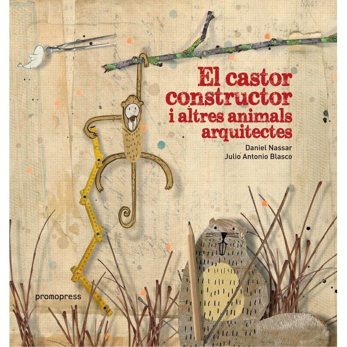 castor constructor i altres animals arquitectes