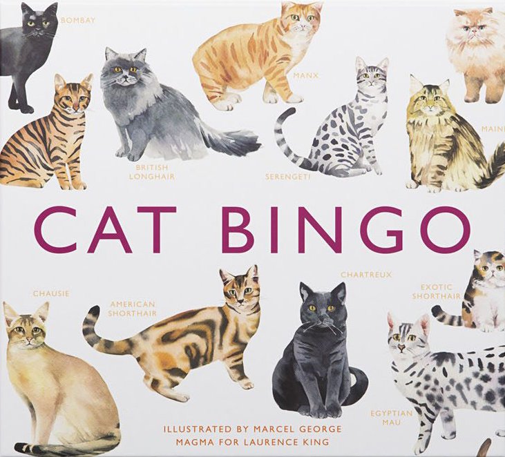 cat bingo - bingo de gats - bingo de gatos