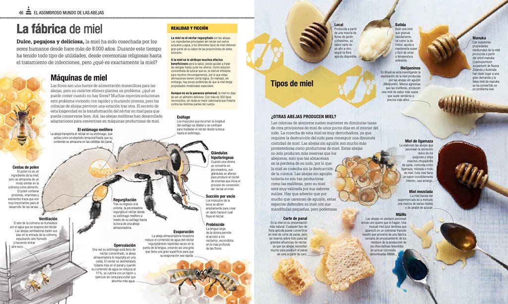 el libro de las abejas