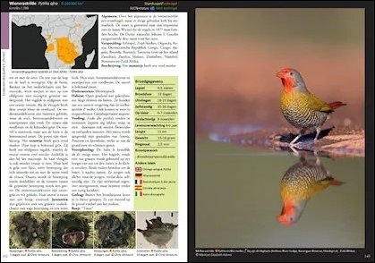 estrildid finches of the world. a photographic, descriptive and factual guide to all 34 genera of estrildidae including vaxbills. seedcrackers, nigritas, twinspots, munias, mannikins and grassfinches