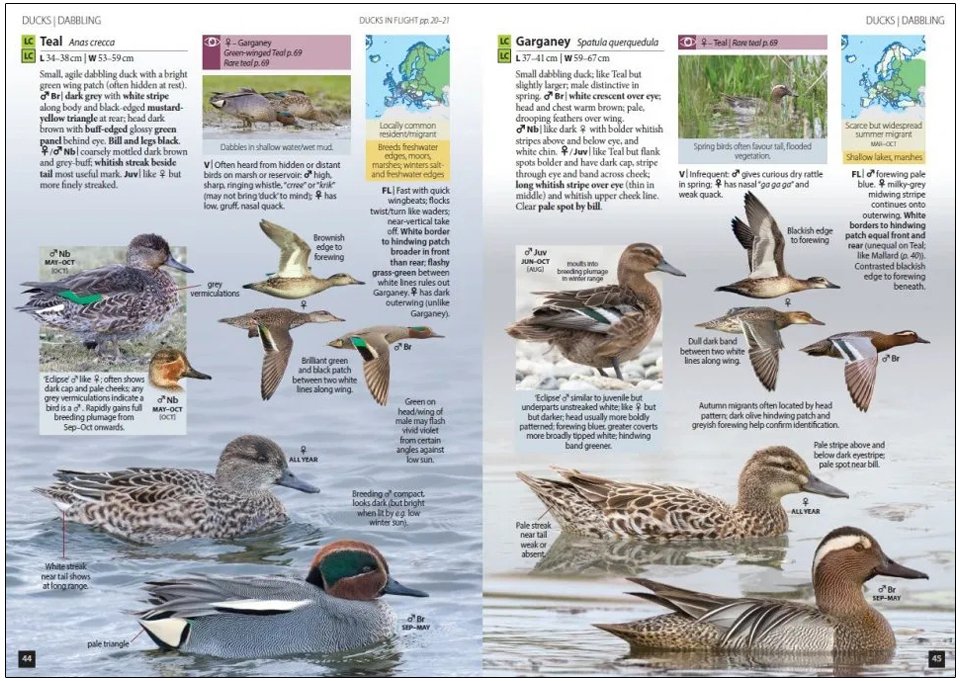 europe's birds. an identification guide