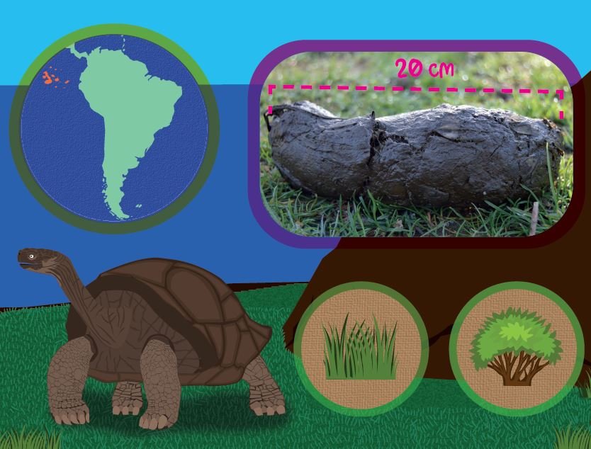 excrementum. un llibre de caques bestials
