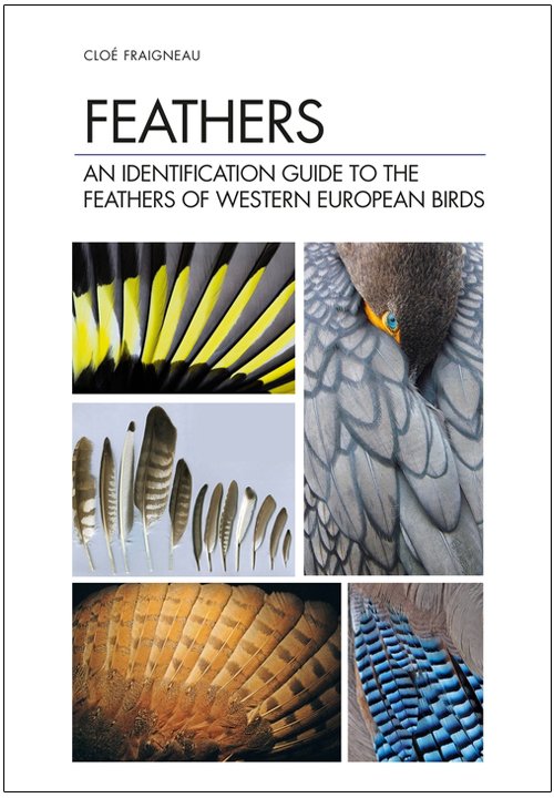 feathers. an identification guide to the feathers of western birds
