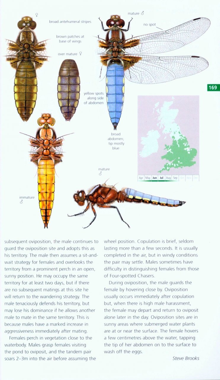 field guide to the dragonflies and damselflies of great britain and ireland