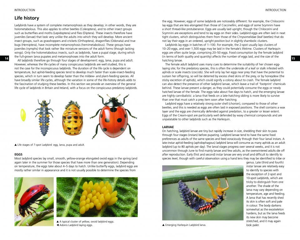 field guide to the ladybirds of britain and ireland