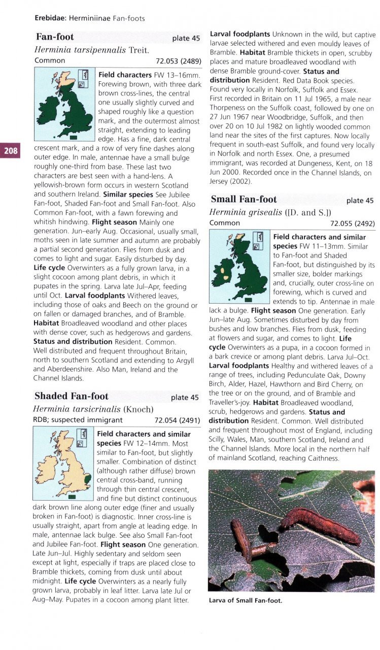 field guide to the moths of great britain and ireland