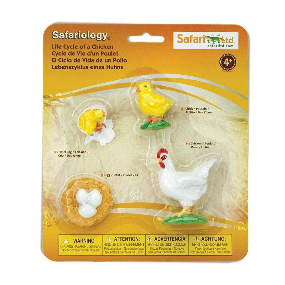 figuras ciclo de la vida - gallina