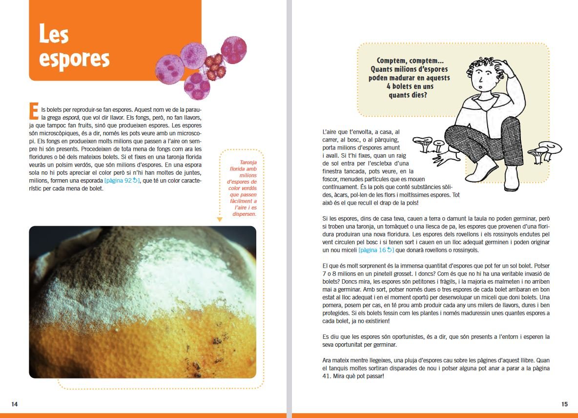 guia de bolets per a nois i noies