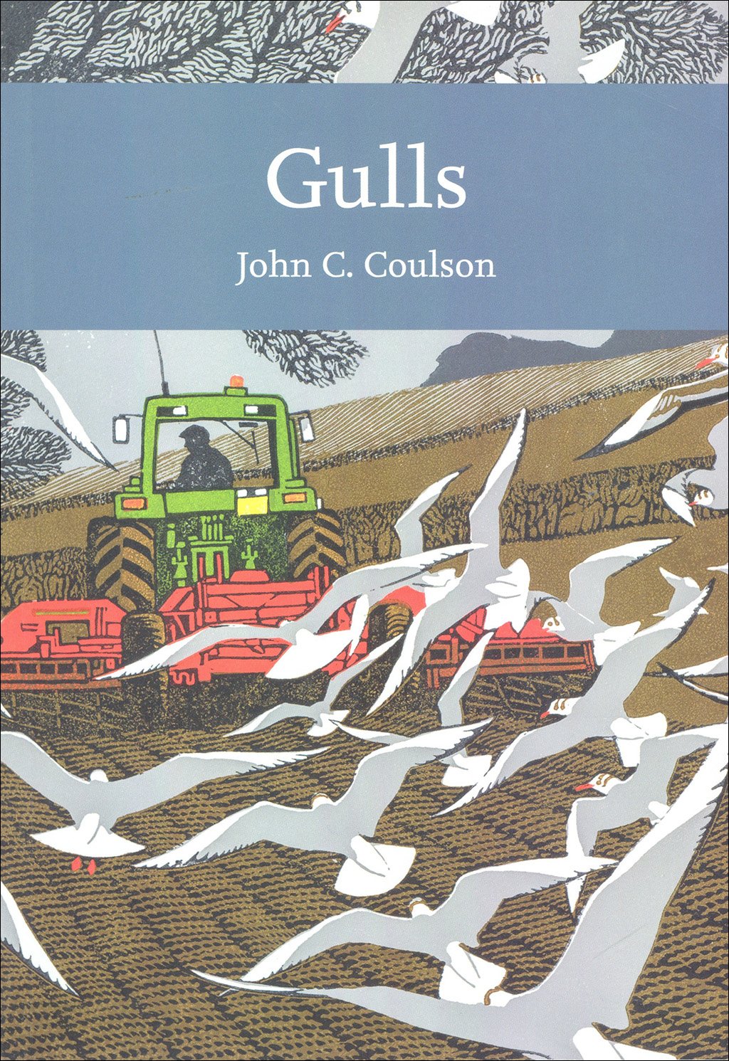 gulls. the new naturalist library
