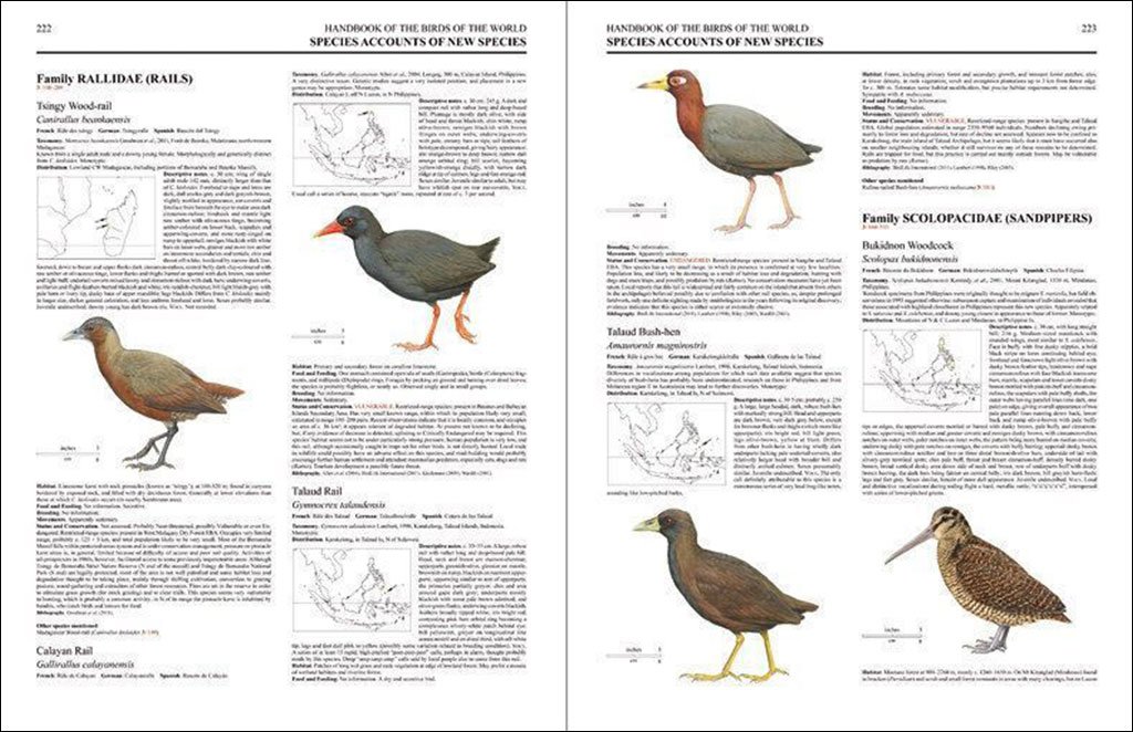 handbook of the birds of the world. special volume: new species and global index