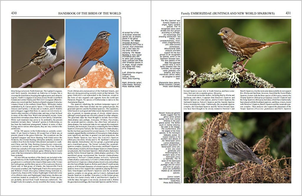 handbook of the birds of the world, vol. 16. tanagers to new world blackbirds