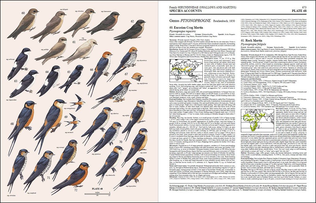 handbook of the birds of the world, vol. 9. cotingas to pipits and wagtails
