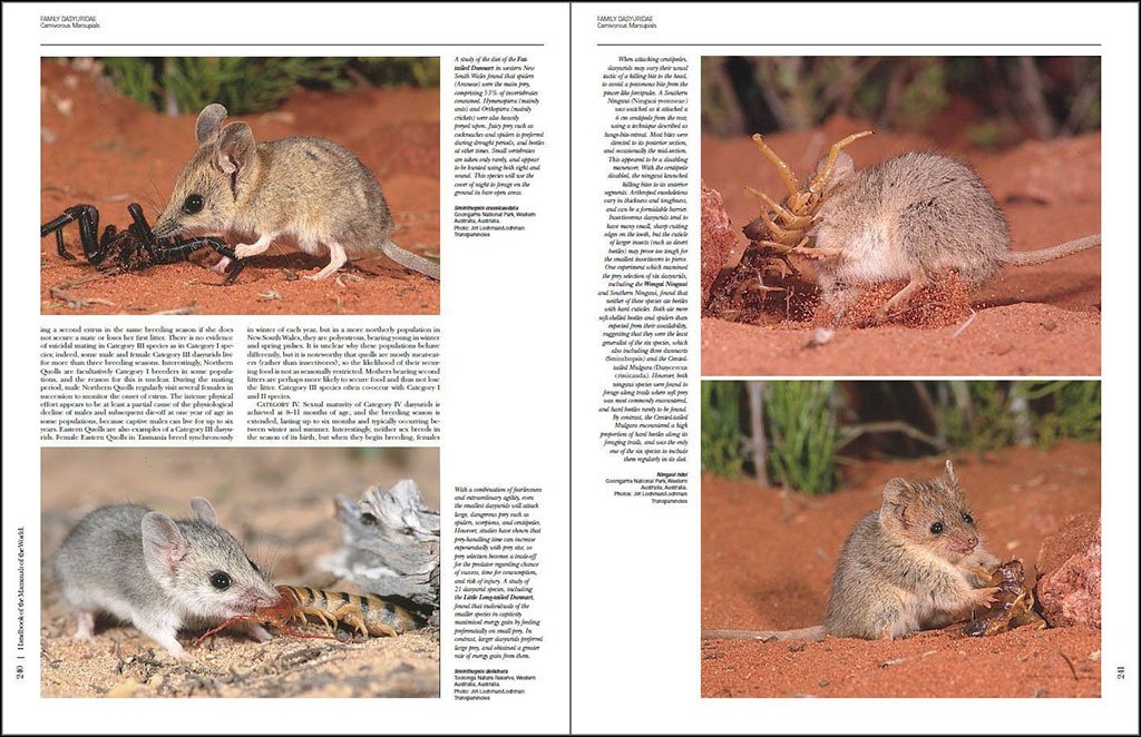 handbook of the mammals of the world. vol. 5 monotremes and marsupials