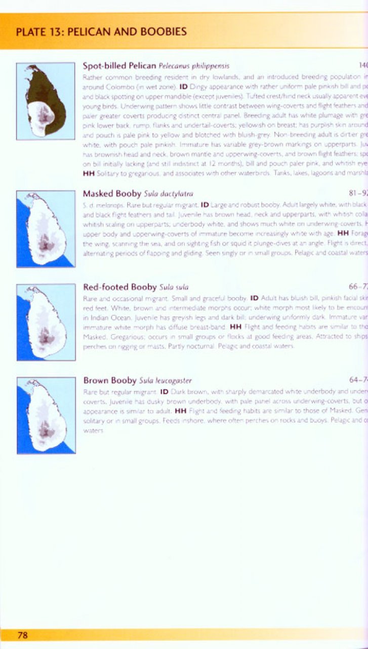 helm field guides. birds of sri lanka