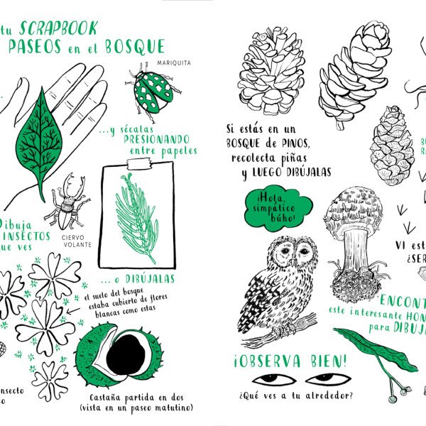 hola natura. siembra, crea, dibuja y colorea